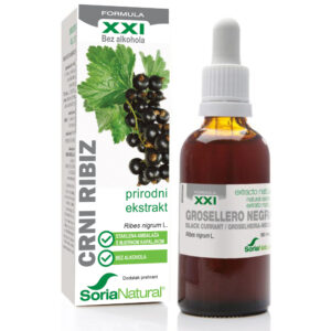 Crni ribiz XXI ekstrakt
