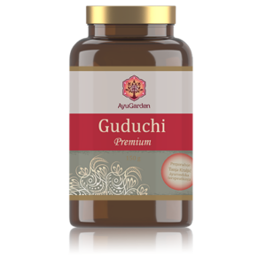 AYUGARDEN GUDUCHI 200 KAPS